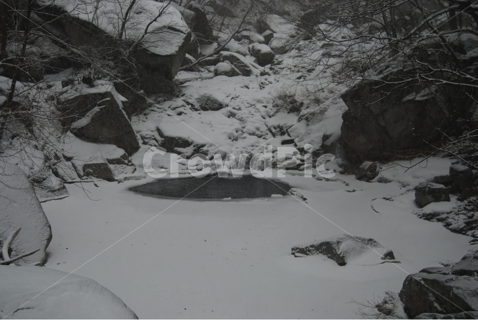 오대산,100대명산,국립공원,탐방로,겨울,겨울,계절,winter,season,자연,풍경,nature,landscape,outdoors,옥외