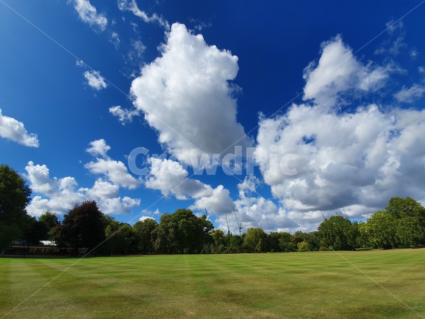 영국왕실정원,england,정원,자연,잔디,plant,식물,구름,하늘,sky,자연,풍경,nature,landscape,outdoors,옥외,grass,weather,날씨,cumulus,적운,cloud