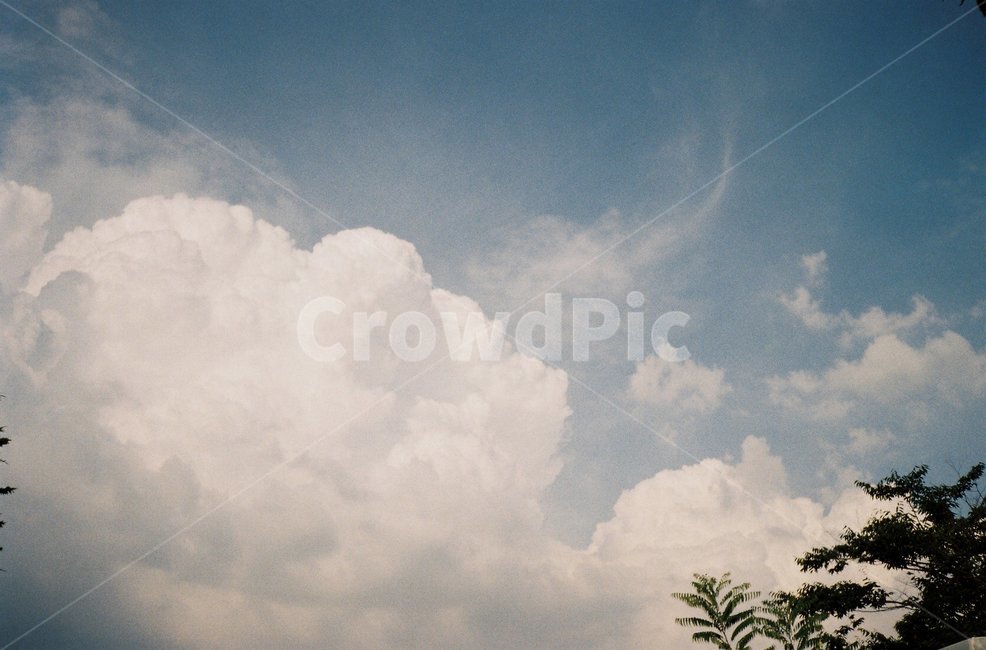 하늘,구름,뭉게구름,cumulus,cloud,여름하늘,film,konicapop