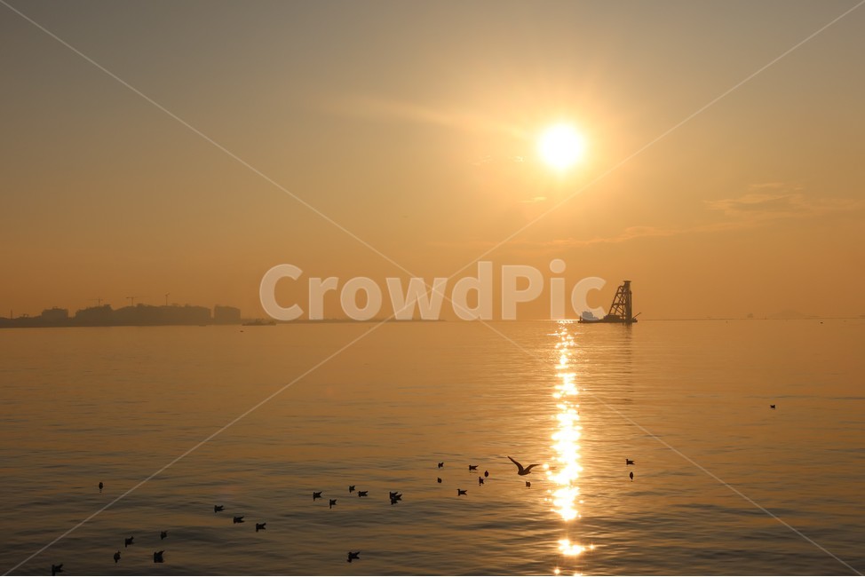 노을,sunset,바다노을,바다,밤바다,야경,경치