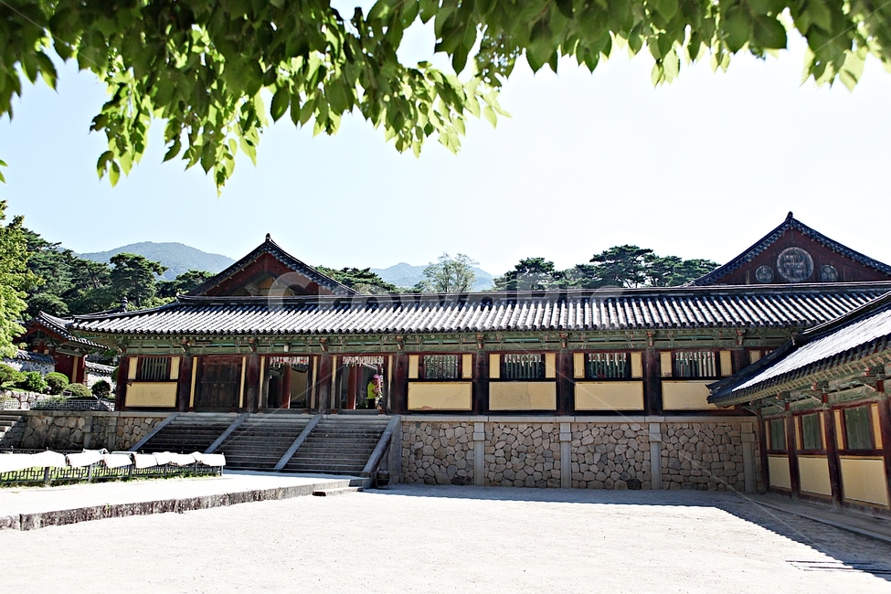 경주,불국사,절,사찰,국보,보물,전통,기와집,여름,집,한옥