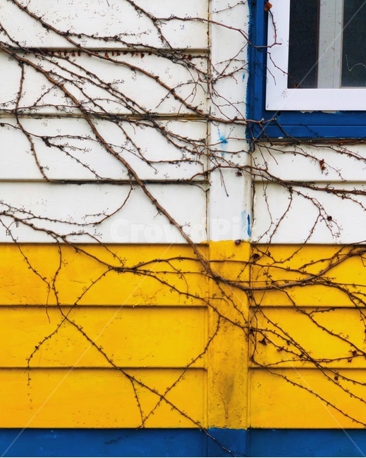 건물,노란색,파란색,하얀색,시골