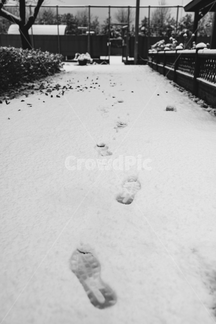 눈길,발자욱,눈,첫눈,겨울,겨울,계절,winter,season