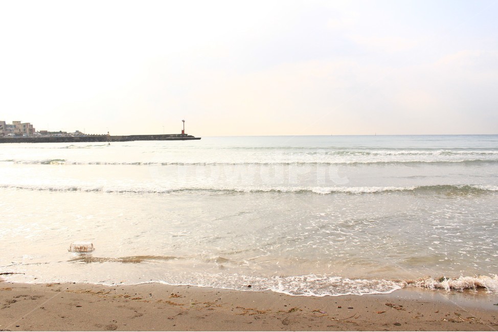 바다,해안,모래사장,파도,제주도,해변,바다,beach,sea