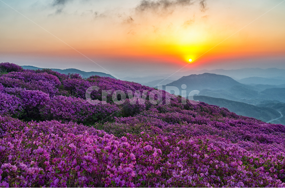 황매산,일출,철쭉축제,합천,휴식,봄,계절,spring,season,자연,풍경,nature,landscape,한국자연풍경,한국자연경관,korea nature landscape,outdoors,옥외