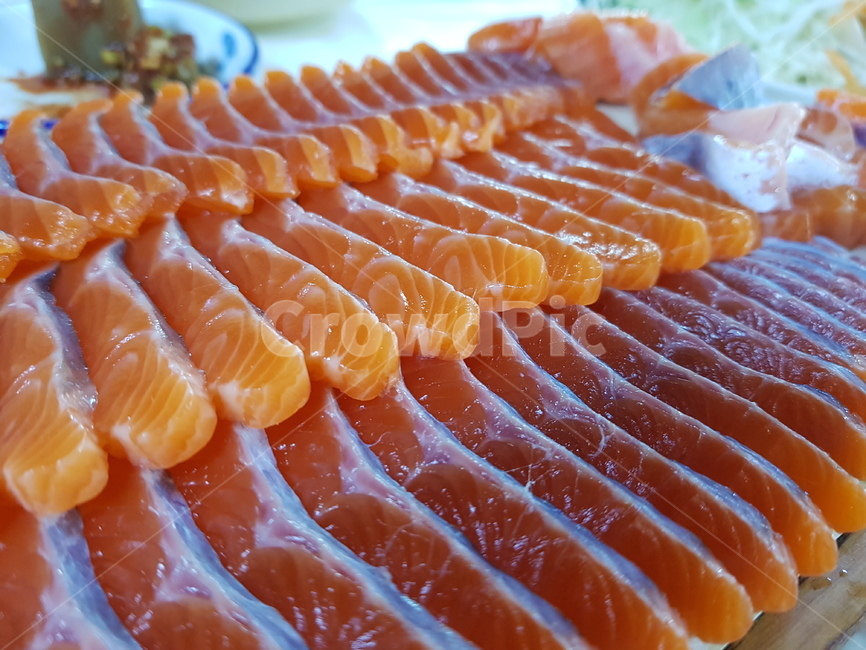 송어회,송어,회,민물고기,음식,food,trout,fish,수산물,해산물,fishery products,seafood