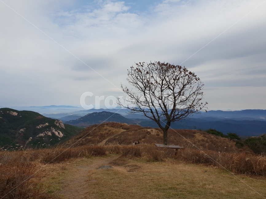 산,황매산,억새,구름,풍경,outdoors,옥외,grassland,목초지,field,들