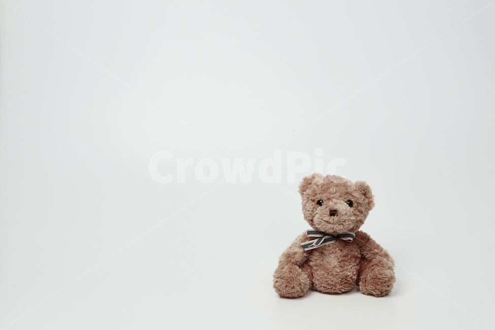 곰,곰인형,인형,완구,장난감,어린이,사물,물건,오브젝트,thing,objectmatter,누끼,흰색,배경,합성,귀엽다,예쁘다,브라운,리본,눈,코,입,앉다,어린이,어린아이,child,children,kid,사물,물건,오브젝트,thing,object,matter,누끼,remove background