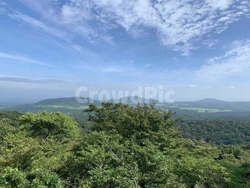 산,하늘,자연,제주,사려니숲길,날씨