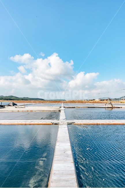 독,dock,염전,소금염전,소금