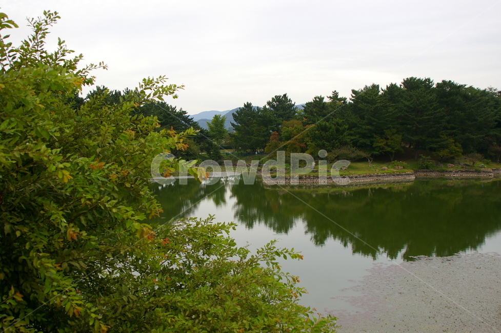 경주,풍경,야외,가을,water,물,nature,자연,outdoors,옥외,자연,풍경,nature,landscape