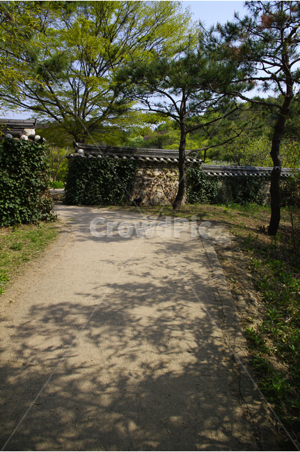 기와,담장,담,돌담,나무,수목원,한국,자연,풍경,nature,landscape,한국자연풍경,한국자연경관,korea nature landscape,한국전통,한국문화,korean traditional,korean culture,outdoors,옥외,garden,정원,arbour,정자