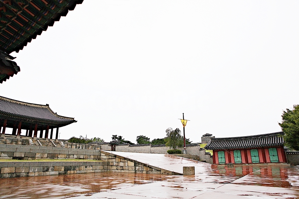수원화성,성,성곽,길,둘레길,돌담,담,가을,자연,풍경,벽,방어벽,전통,식물,한국전통,한국문화,korean traditional,korean culture
