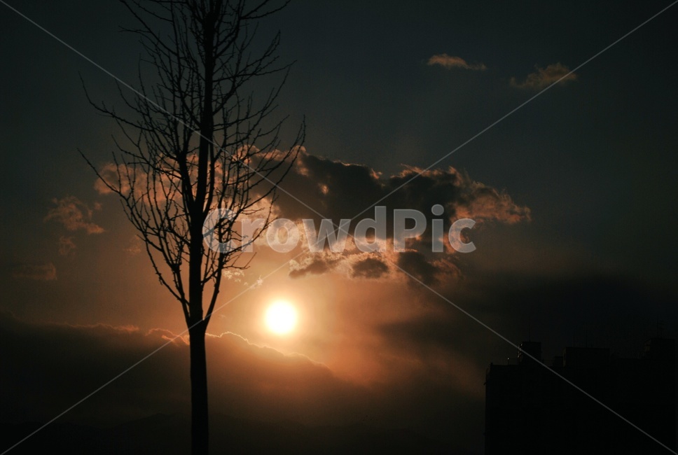 노을,석양,일몰,나무,구름,sunset,eveningsun,sundown,tree,cloud,자연,풍경,nature,landscape,야경,밤,nightscape,night,식물,plants,나무,trees,wood,실루엣,그림자,silhouette,shadow,light,빛,flare,플레어
