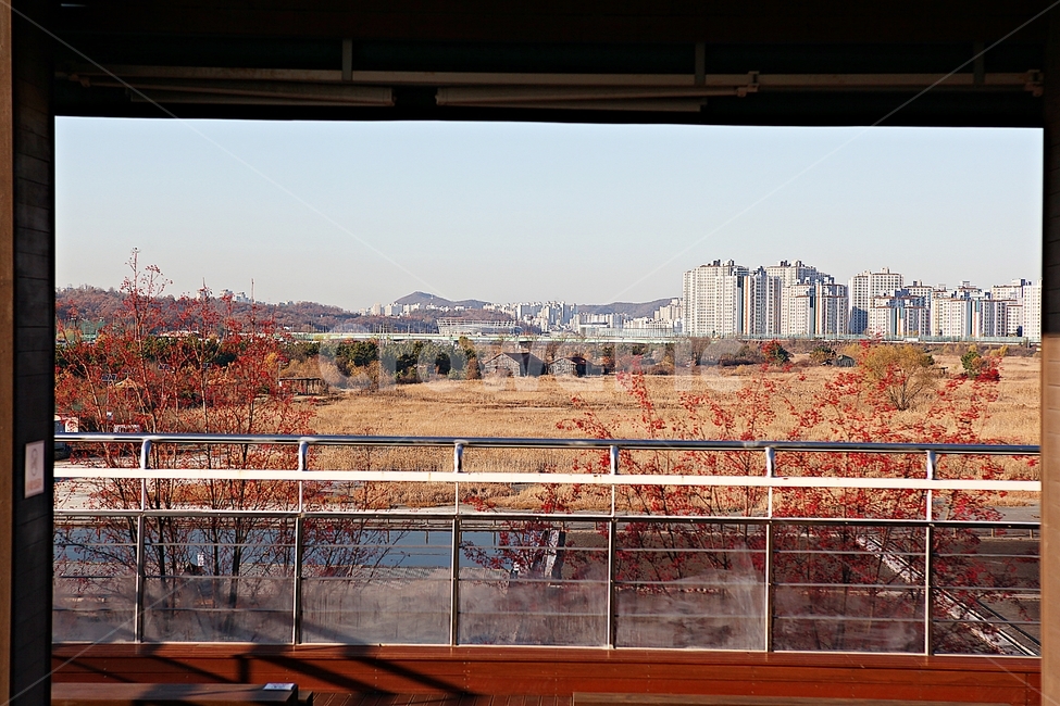 염전,소금창고,소래습지생태공원,소금,갈대,억새,창고,건물,건축물,식물,풍경,자연,가을