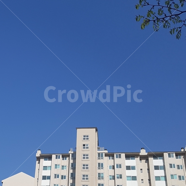 아파트,정갈,깔끔,하늘,나무,잎,파란,푸른,사진,일상,깨끗한,맑음,자연,풍경,sky,apartment,tree,leaf,view,nature,sunny,blue,도시,풍경,city,landscape