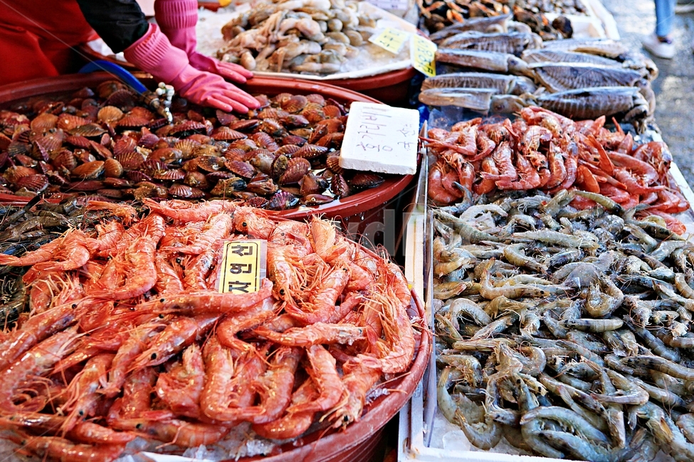 새우,조개,좌판,자연,배경,먹거리,시장,마트,마켓,market,mart,market place,음식,식재료,요리,food,cook,meal,dishes,food reserves,수산물,해산물,fishery products,seafood