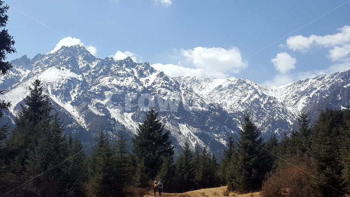 산,설산,시골,눈,식물,풍경,자연,겨울,계절,winter,season,자연,풍경,nature,landscape