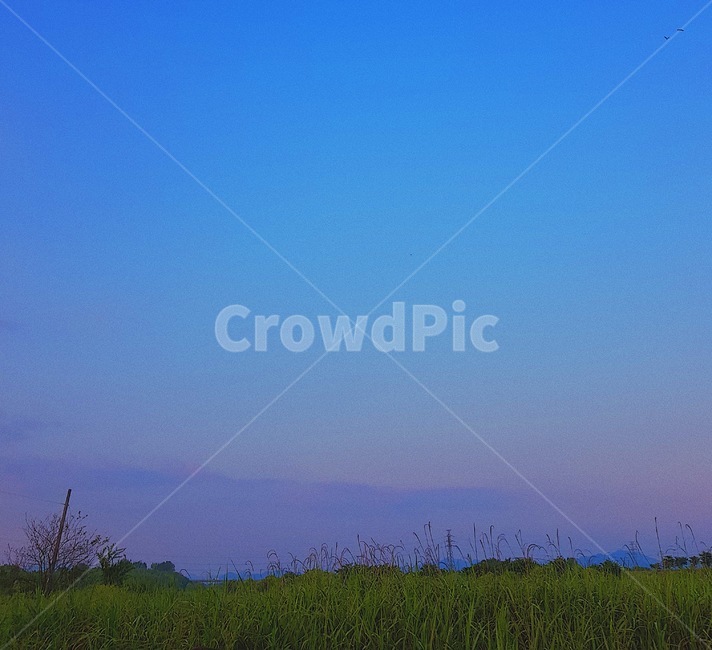 하늘,노을,나무,sky,sunset