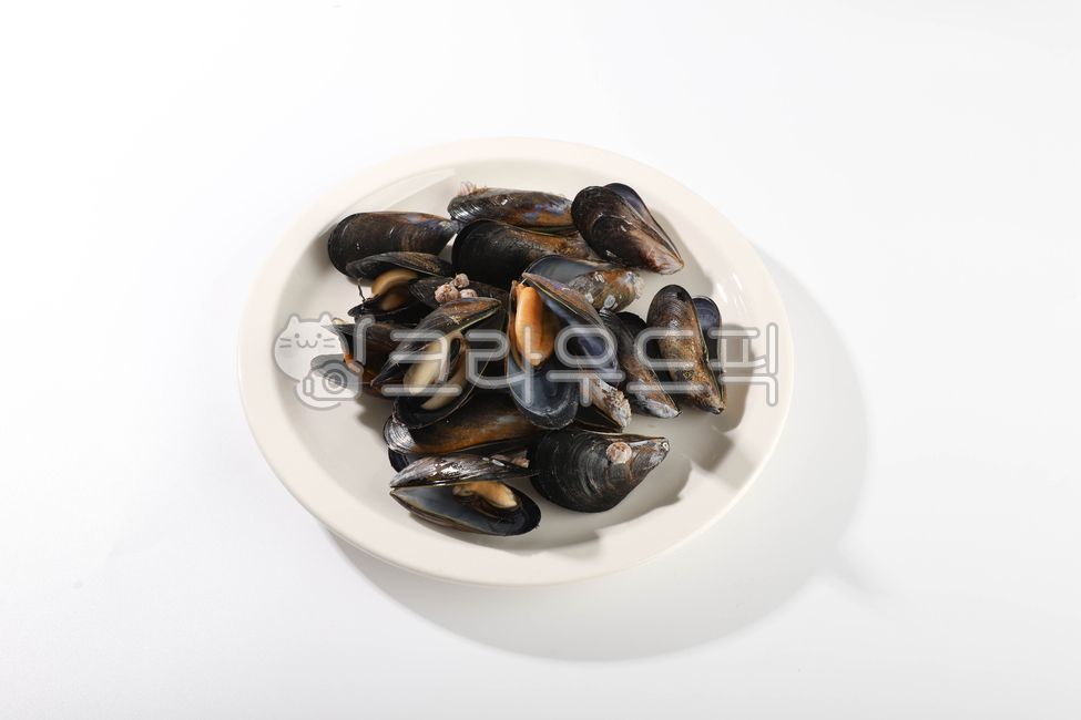 홍합,수산물,바다생물,먹거리,조개,음식,식재료,요리,food,cook,meal,dishes,food reserves,수산물,해산물,fishery products,seafood