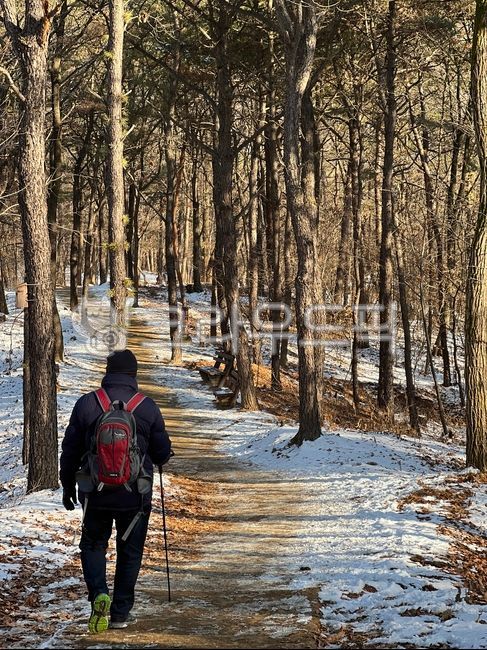 winter,back,back mountain,winter walk,walking in winter,line of vision,winter mountain,After the snow,snow,person,human