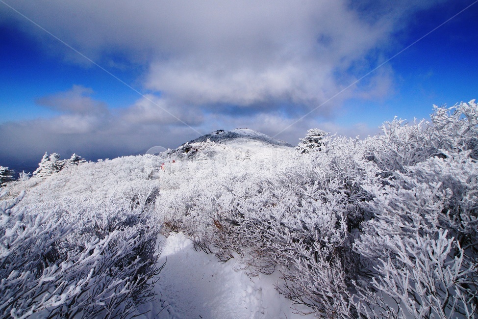 덕유산,설경,푸른하늘,눈,상고대,무주,주목,겨울,계절,winter,season,자연,풍경,nature,landscape,outdoors,옥외,snow,mountain,산,frost,서리