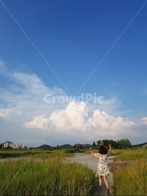 뭉게구름,구름,하늘,습지공원,인물,사람,여자,파란하늘,습지,점프샷,뒷모습,여름,풍경