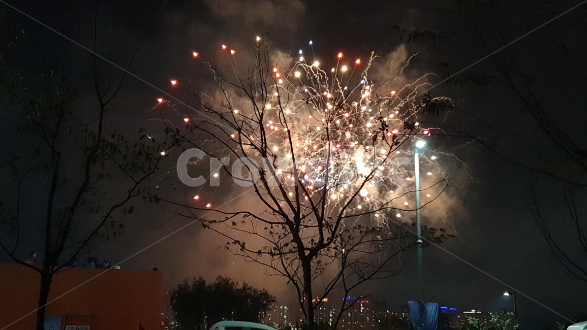 nature,자연,outdoors,옥외,night,fireworks,불꽃,여의도,축제,나무,빛,플레어,light,flare,축제,행사,festival,carnival,event