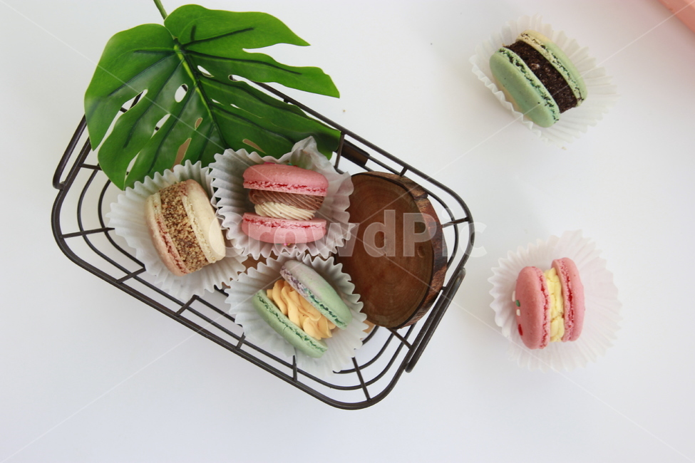 마카롱,뚱카롱,음식,크림,cake,food,음식,식재료,요리,food,cook,meal,dishes,food reserves,디저트,간식,후식,dessert,snack