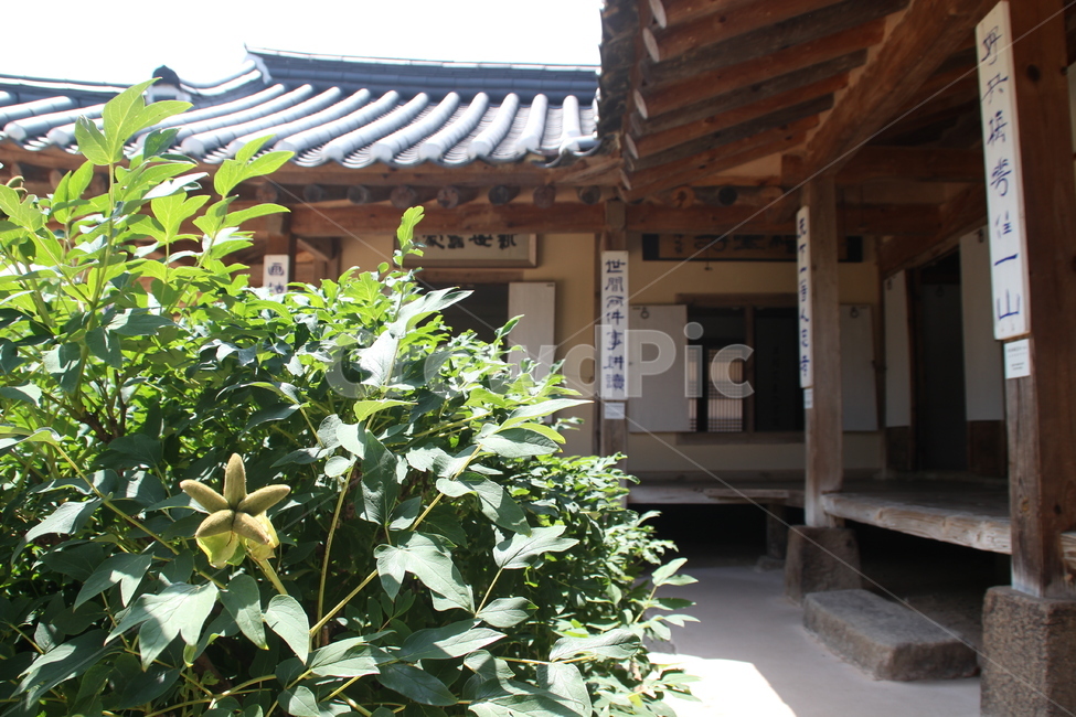 추사고택,추사,고택,한국고택,한국전통가옥,한국전통건축,목조건축,건축,기와,예산,한국,chusaoldhouse,chusa,oldhouse,koreanoldhouse,koreantraditionalhouse,koreantraditionalarchitecture,woodenarchitecture,architecture,rooftile,yesan,korea,한국전통,한국문화,korean traditional,korean culture,건축물,건물외관,exterior,building,structure,architecture,construction