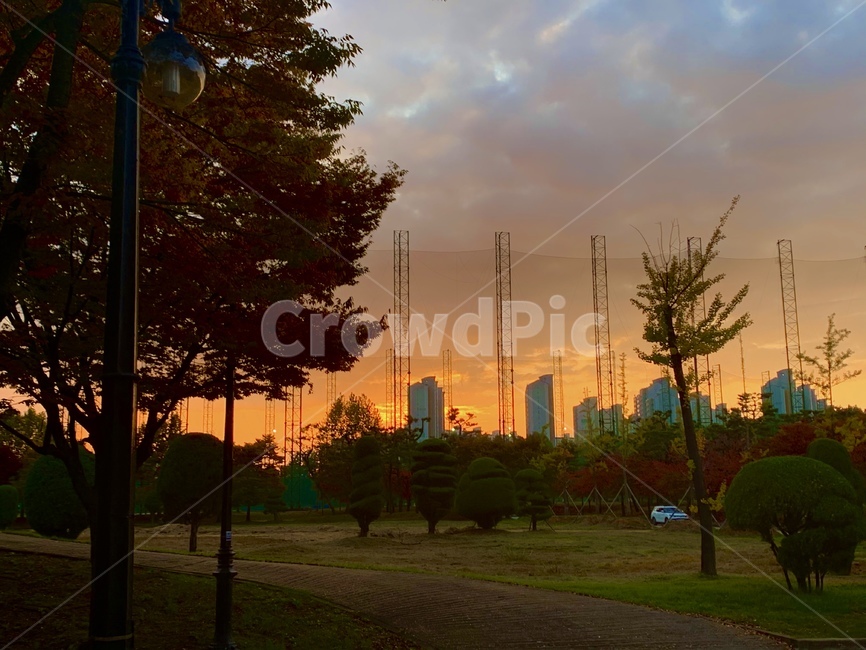 nature,자연,outdoors,하늘,구름,노을,나무