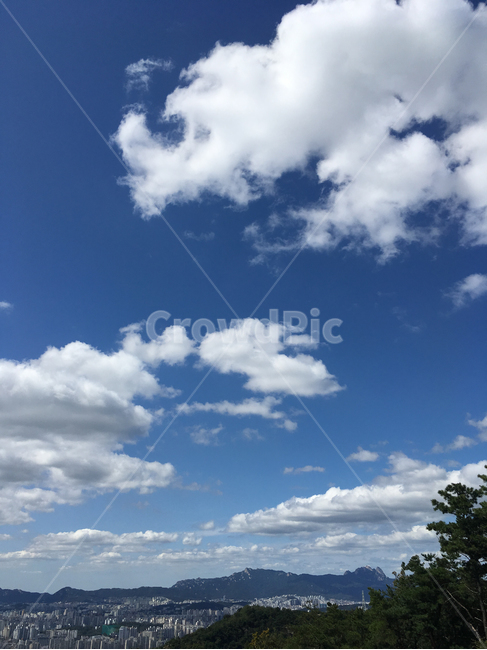 nature,자연,outdoors,옥외,sky,하늘,푸른하늘,층적운,구름떼,cloud