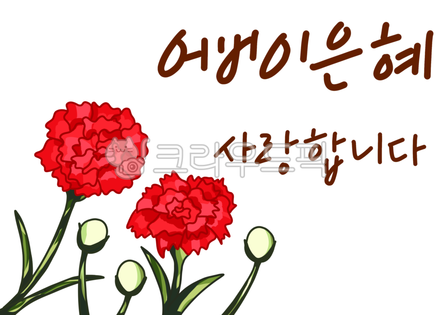 carnation,카네이션,flower,꽃,어버이날,어버이은혜,사랑합니다,캘리,캘리그라피,일러스트,calli,calligraphy,illust,illustration,5월8일