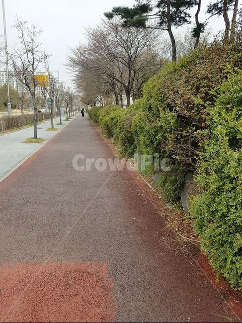 봄,잔디,4월,파릇파릇,하늘,초록,산책로,나무
