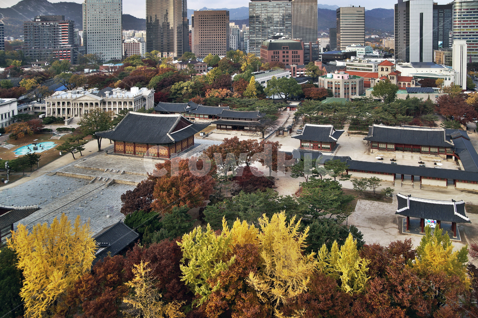 덕수궁,궁궐,가을,계절,서소문,도심,빌딩,건물,한국전통,한국문화,korean traditional,korean culture