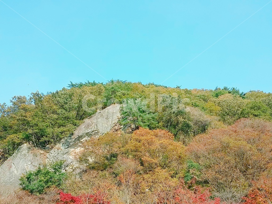 자연,nature,식물,plant,초목,vegetation,옥외,outdoors,산,등산,바위,풍경