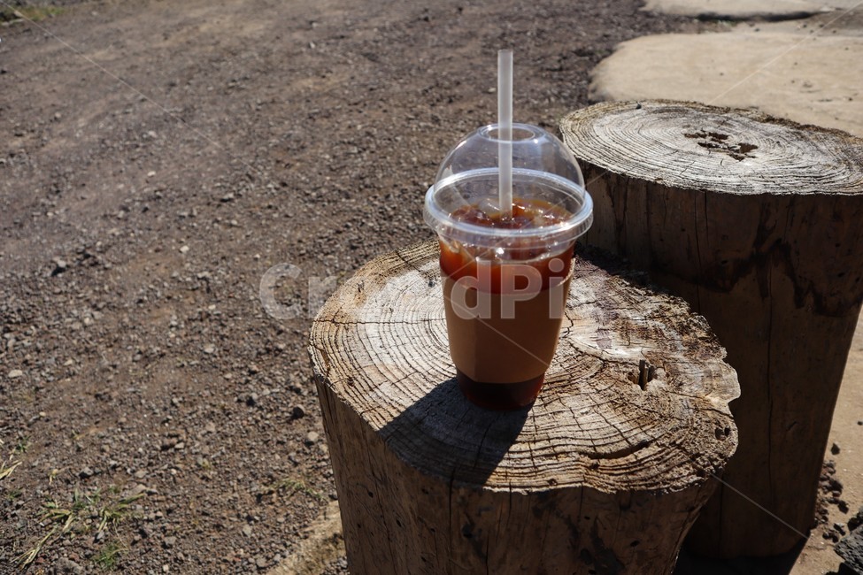 커피,카페,나무,햇살,beverage