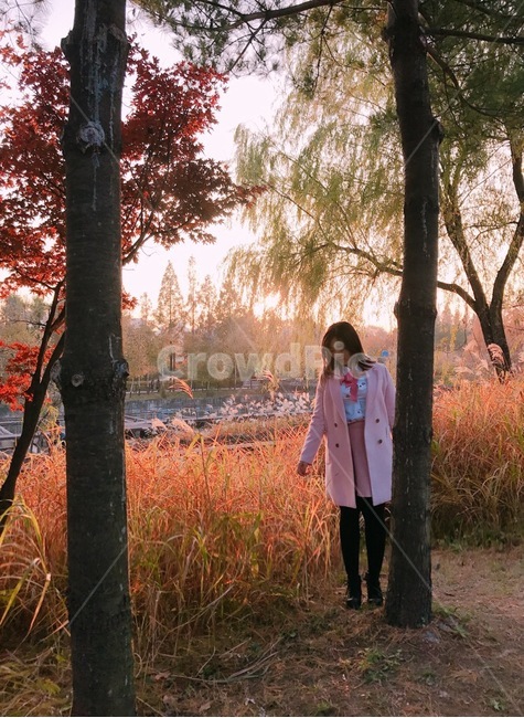 공원,자연,가든,비밀의정원,노을,정원,garden,휴식,산책,노을빛,가을,계절,fall,autumn,season,사람,인물,인간,human,person,여성,여자,woman,female,lady,tree,나무,plant,식물,coat,코트,tree trunk,나무 줄기,sleeve,소매