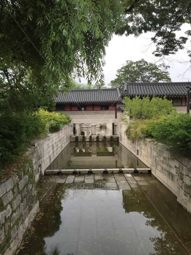 궁,창덕궁,국내여행,고요,서울,korea,일상,여름,계절,summer,season,랜드마크,landmark,tourist attraction,한국전통,한국문화,korean traditional,korean culture,ditch,도랑,architecture,건축물,castle,성,building,건물