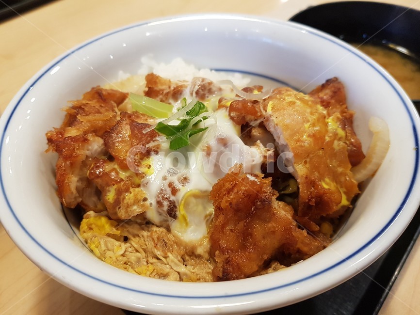 돈가스,고기,덮밥,그릇,음식,확대,porkcutlets,meat,food
