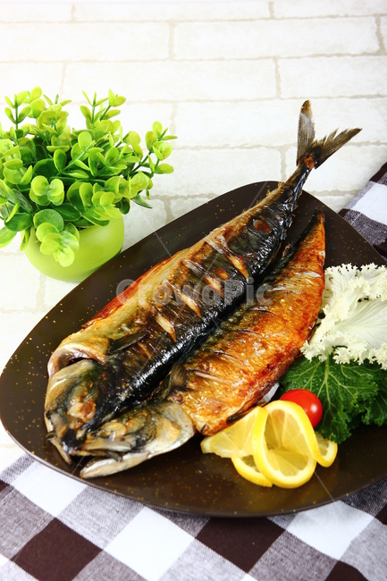 고등어,생선,등푸른생선,구이,생선구이,해산물,음식,식품,신선,싱싱,mackerel,fish,grill,seafood,food,fresh,crispy,음식,식재료,요리,food,cook,meal,dishes,food reserves,수산물,해산물,fishery products,seafood