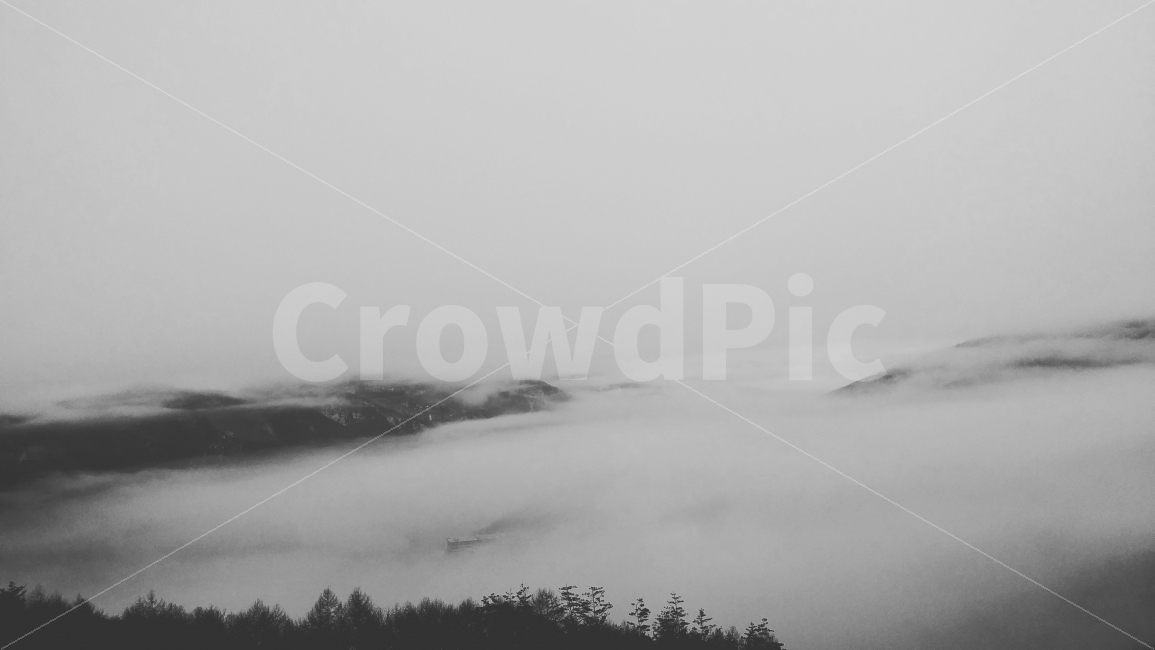 운해,아침,풍경,흑백,경이로움,자연,풍경,nature,landscape,흑백,모노톤,monochrome,black and white,weather,날씨
