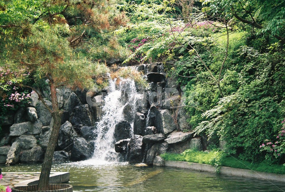 봄,폭포,나무,폭포수,풍경,필름,필름카메라,spring,falls,tree,fallswater,scenery,film,filmcamera,월미도공원,wolmidopark,돌,stone