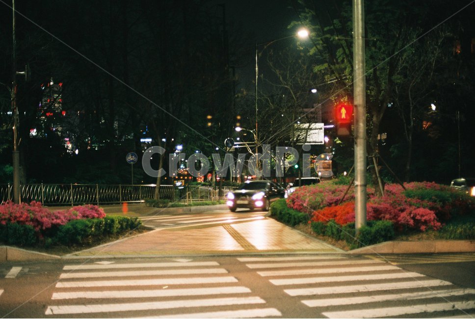 황단보도,야경,자동차,신호등,불빛,야경,밤,풍경,nightscape,night,landscape,감성,sensible,feeling,교통,교통수단,traffic,transportation,asphalt,아스팔트,road,도로,car,차,vehicle,차량,automobile