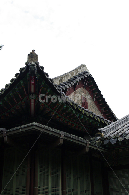 창덕궁,고궁,전각,한옥,전통가옥,기와지붕,건축,traditional,한국전통,한국문화,korean traditional,korean culture,건축물,건물외관,exterior,building,structure,architecture,construction