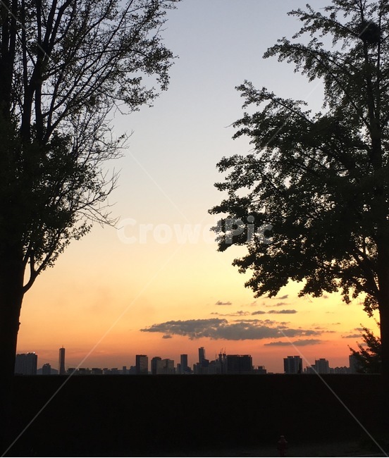 이태원,일몰,남산,해질녘,sunset,itaewon,도시,풍경,city,landscape,식물,자연,plants,nature,나무,trees,wood,실루엣,그림자,silhouette,shadow,outdoors,옥외,sky,하늘,red sky,붉은 하늘,dusk,황혼,dawn,새벽
