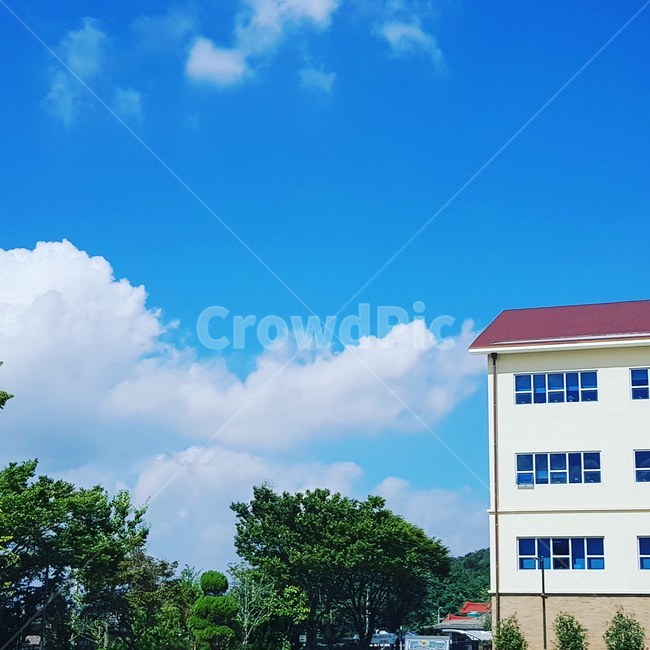 하늘,파란하늘,구름,나무,집,건축물,건물외관,exterior,building,structure,architecture,construction