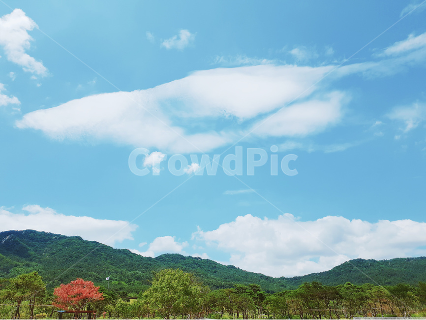 하늘,구름,파랑,풍경,여름,자연,풍경,nature,landscape,outdoors,옥외