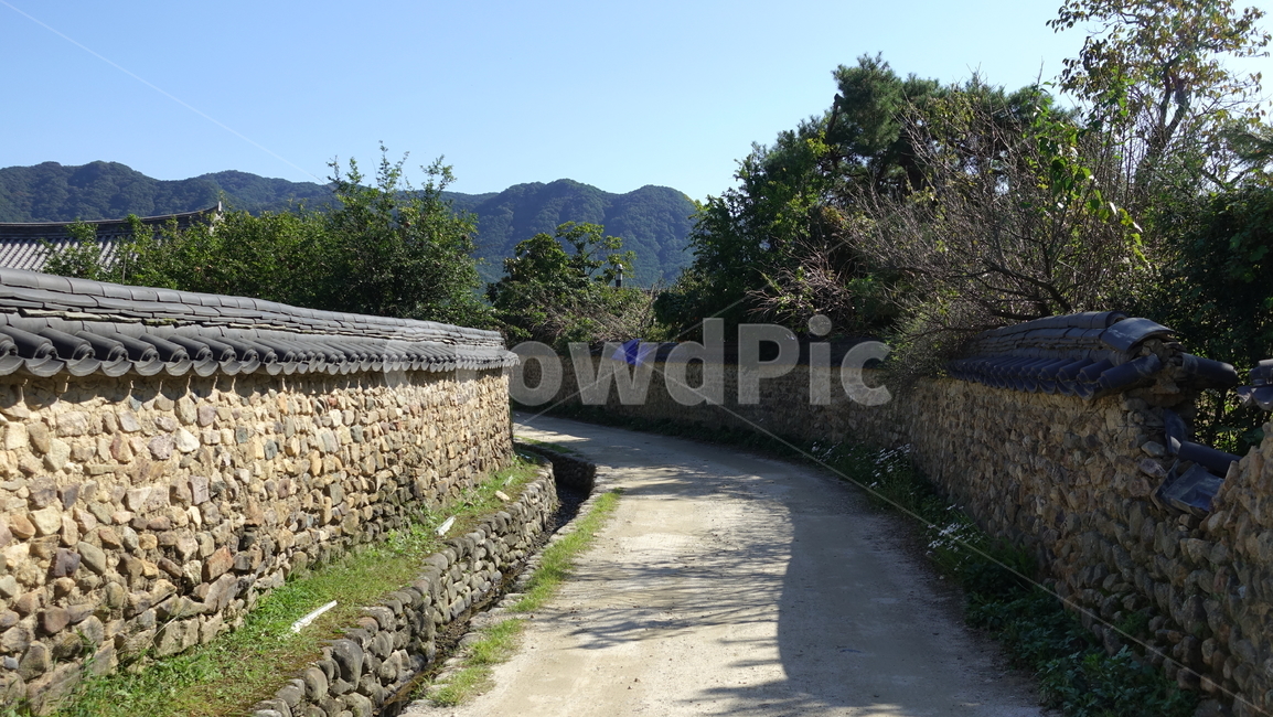 가을,삼지내마을,돌담,wall,골목,기와,골목길,alley