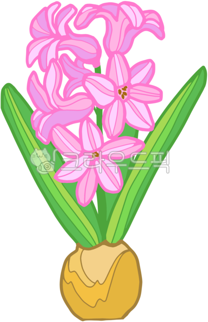 Hyacinth,bulbous plant,flower,spring flower,spring,pink,garden,gardener,horticulture,floriculture,gardening,gardener,Arbor Day,plant,environmental protection,Earth Day,experiential learning,daycare center,kindergarten,talent show,picni